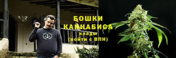 твердый Зеленодольск