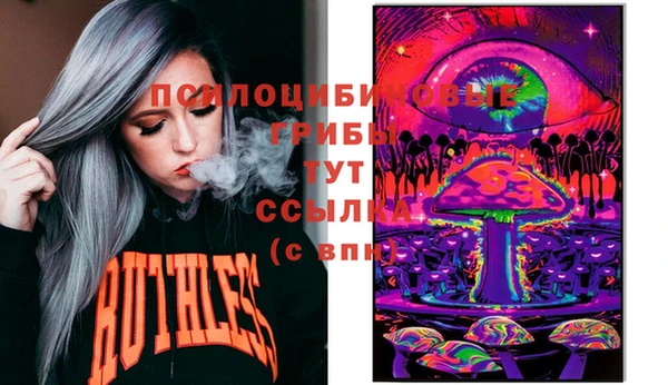бошки Дмитриев