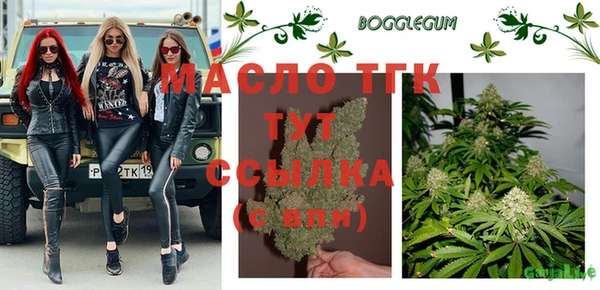 бошки Дмитриев