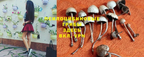 бошки Дмитриев