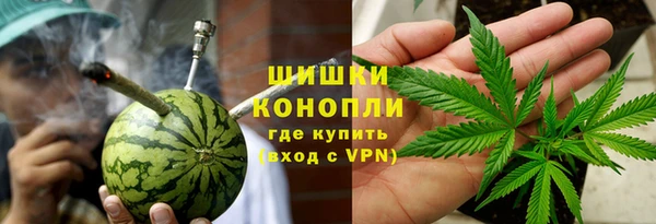 бошки Дмитриев