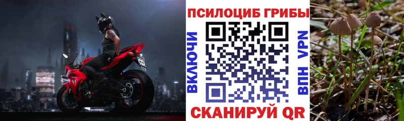 Псилоцибиновые грибы ЛСД Губкинский