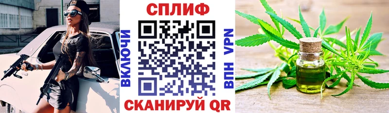 Каннабис семена  Губкинский 
